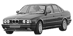 BMW E34 P0224 Fault Code